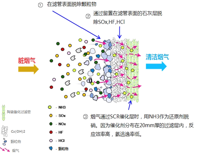 &#31859;&#20848;&#23448;&#26041;&#31449;&#32593;&#39029;&#29256;&#45;&#31859;&#20848;&#40;&#20013;&#22269;&#41;